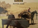 The Captain & the Kid by Elton John, John, Elton (180g Vinyl LP), Jul-2008,...
