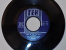 THE BIRDWATCHERS Mary mary/Cry a Little Bit 1960s Mala 555 Miami garage psych 45