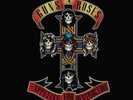 Guns N' Roses-Appetite for Destruction (UK IMPORT) Vinyl / 12