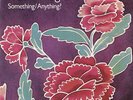 Todd Rundgren : Something/Anything? VINYL Limited  12