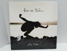 EDDIE VEDDER INTO THE WILD LP VINYL RECORD