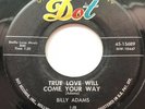 Rockabilly Billy Adams 45 Dot Lbl. You Heard Me Knocking