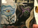 Trapped under ice 7
