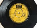 Roy Orbison - Lana / House Without Windows Demo
