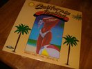 Vintage Vinyl The Beach Boys LP Brian Wilson Dennis Wilson