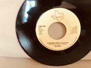 Great Modern rare soul record, I'm Gonna See you through, 7