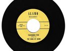 RARE GARAGE PSYCH 45 The Sons of Adam on ALAMO Feathered Fish arthur lee HEAR