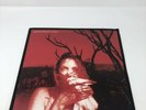 WIDESPREAD PANIC-EVERYDAY VINYL LP