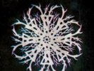 Mammoth Weed Wizard Bastard: Noeth Ac Anoeth =LP vinyl *BRAND NEW*=
