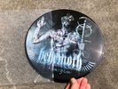 BEHEMOTH 'Demigod' pic disc FIRST PRESS, SUPER rare  Signed