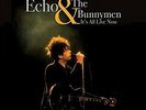 Echo & The Bunnymen-It`S All Live Now VINYL NEW
