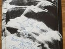 Adam And The Ants Zerox / Whip In My Valise 7