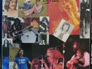 THE BEST OF LED ZEPPELIN LIVE VOL.1 / CONTINUING SAGA RECORDS 2LP Set