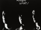 Young Marble Giants-Colossal Youth And Collected Works (UK IMPORT) VINYL NEW
