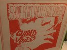 Guided By Voices ?– Same Place The Fly Got Smashed  rare LP