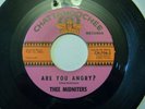 THEE MIDNITERS I FOUND A PEANUT/ARE YOU ANGRY? 45 CHATTAHOOCHEE RECORDS 706