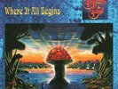 The Allman Brothers Band: Where It All Begins (2 LPs) (180 Gram Translucent