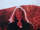 TY SEGALL Manipulator 2-LP Epsilons perverts fuzz Broken Bat Sic Alps Party fowl