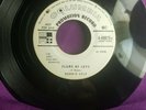 Rockabilly Ronnie Self  Flame Of Love/ Big Fool  Promo