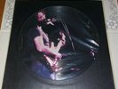 Grateful Dead Live At The Felt Forum 1LP LE  Picture Disc NO TMOQ  Rare  OOP