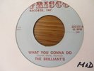 THE BRILLIANTS   WHAT YOU GONNA DO - U.S FRISCO RECORDS - NORTHERN SOUL