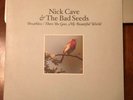 Nick Cave and the Bad Seeds 