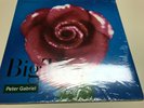 NM+ in open shrink Peter Gabriel “Big Time” 12” Maxi-Single Vinyl 45 RPM Geffen