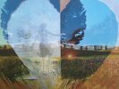 LP NEIL YOUNG DREAMIN´MAN LIVE 92 HARVEST MOON VINYL EU