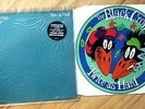 EX/EX THE BLACK CROWES: TWICE AS HARD VINYL PIC PICTURE DISC DEFAP 712