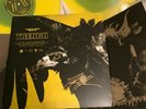TWENTY ONE PILOTS SIGNED NEON YELLOW VINYL VARIENT 2X LP TRENCH RECORD SET