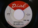 45RPM ALLMAN JOYS ROCK PROMO 