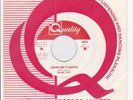Canada Garage / Blues Rock 45 - SHAME TREE - Junior Saw It Happen / My Little