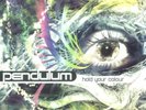 Pendulum-Hold Your Colour (Repress) VINYL NEW