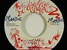 Fatman Riddim Section 