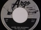 THE SILVA-TONES: That's All I Want From You ’57 ARGO Rocakabilly 45 VG++
