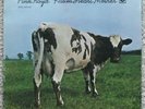 PINK FLOYD - ATOM HEART MOTHER VINYL LP SEALED EARLY ISSUE HARVEST SKAO 382