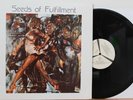 Seeds Of Fulfillment LP   RARE Ohio Funk Spiritual Jazz   VG++