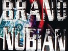 BRAND NUBIAN-IN GOD WE TRUST (UK IMPORT) VINYL LP NEW