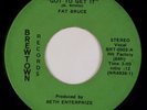 FAT BRUCE: Got To Get It US Brewtown Wisconsin Hard Psych Rock 45