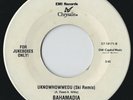 Rare Rap 45 - Bahamadia - Uknowhowwedu (Ski Remix)