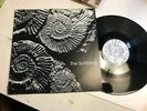 THE SUNDAYS Reading Writing And Arithmetic 1990 UK Vinyl LP Orig OOP rough trade