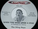 Doo Wop 45 THE STING REYS You're Looking So Good / When You Wish Upon A Star