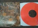 THE STONE ROSES - DEBUT ALBUM - RARE 12