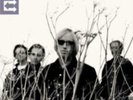 TOM PETTY & HEARTBREAKERS: ECHO (LP vinyl *BRAND NEW*.)