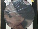 Blondie Parallel Lines - Original Picture Disc Vinyl Record