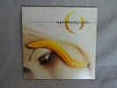 A Perfect Circle ?– Thirteenth Step (vinyl, 2003, Tool)