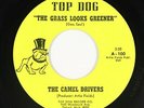Garage Psych Fuzz 45 - Camel Drivers - Grass Looks Greener - Top Dog - VG++ mp3