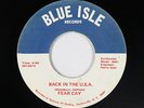 Hard Rock Psych Fuzz 45 - Fear Cay - Back In The U.S.A. - Blue Isle - obscure