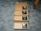 Böhse Onkelz  LIVE IN DORTMUND  ALLE 4 VINYL BOXEN   Neu in Folie