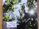 Flea Helen Burns LP Rare Signed with Bass String Piece
